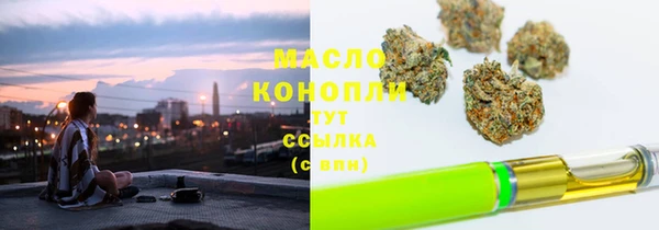 прущие грибы Надым