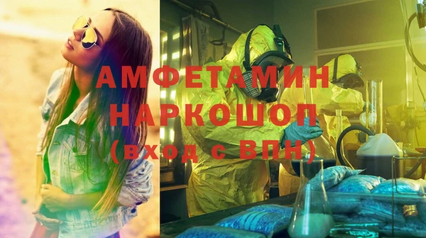 прущие грибы Надым