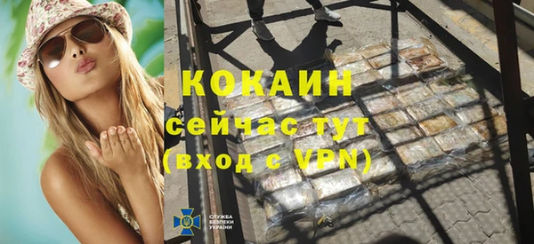 PSILOCYBIN Михайлов