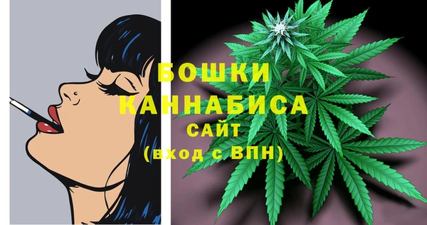 прущие грибы Надым
