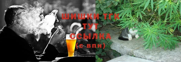 PSILOCYBIN Михайлов
