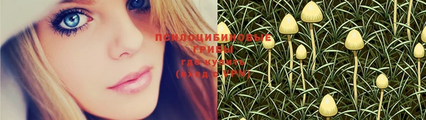 ECSTASY Михайловск