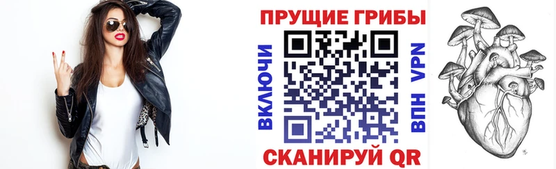 Галлюциногенные грибы прущие грибы  Кудрово 