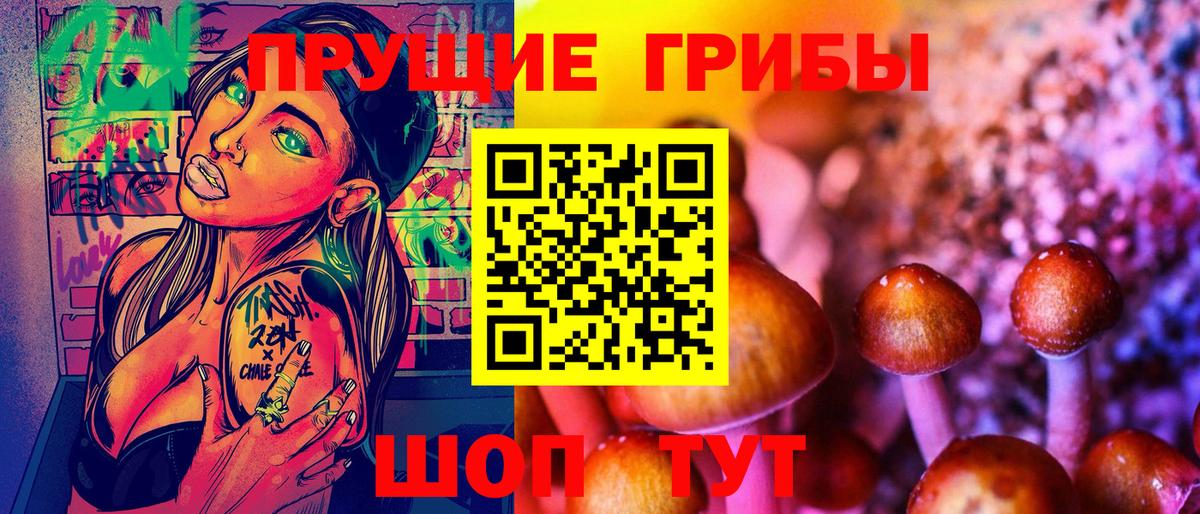Псилоцибиновые грибы GOLDEN TEACHER Кудрово