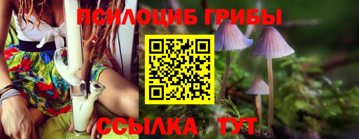 Галлюциногенные грибы Magic Shrooms  Вход с VPN  Кудрово  Псилоцибиновые грибы Magic Shrooms 