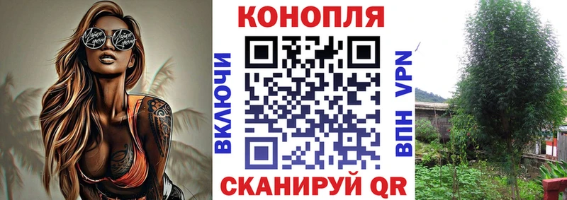 МАРИХУАНА план Кудрово
